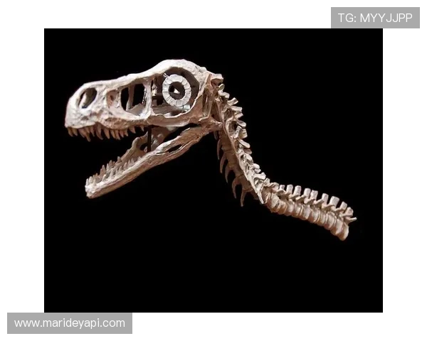 PA扑鱼游戏中常见的作弊风险与防范措施全面解析 PA扑鱼游戏中常见的作弊风险与防范措施全面解析