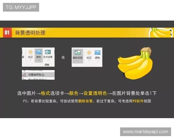 PA电子评级在提升信用信息透明度方面的重要作用及其行业推广策略