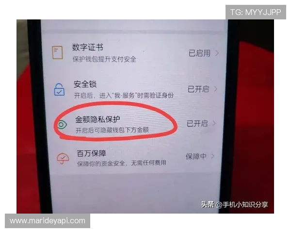 凯发体育官网平台登录不了的情况下,安全性与账号保护的注意事项 凯发体育官网平台登录不了的情况下,安全性与账号保护的注意事项