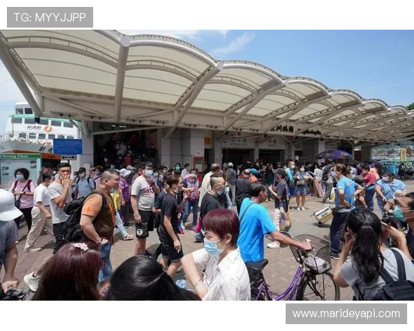 凯发K8世界杯下注投注技巧分享提升你的胜率和盈利能力