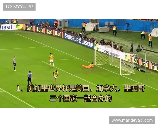 美加墨联合申办世界杯对区域合作与国际关系的积极影响 美加墨联合申办世界杯对区域合作与国际关系的积极影响